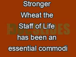  Smarter Taller Stronger Wheat the Staff of Life has been an essential commodi