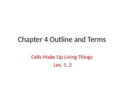 Chapter 4 Outline and Terms