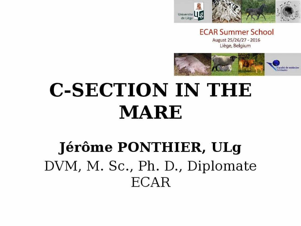 PPT-C-SECTION IN THE MARE Jérôme PONTHIER,