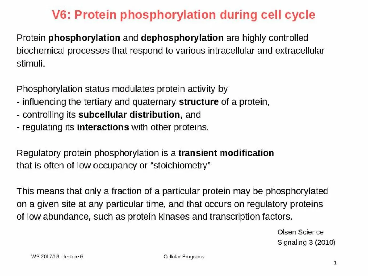 PPT-V6: Protein phosphorylation during cell cycle