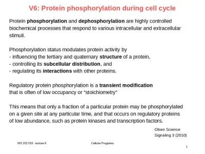 V6: Protein phosphorylation during cell cycle