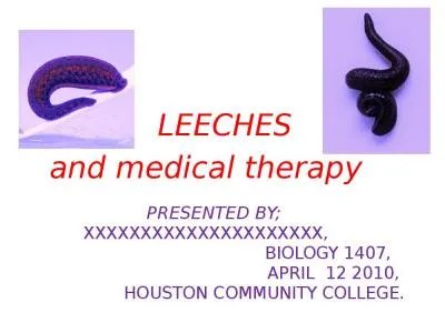 LEECHES and medical therapy