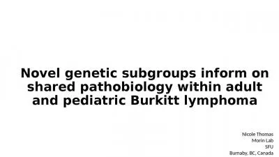 Novel genetic subgroups inform on shared pathobiology within adult and pediatric Burkitt lymphoma