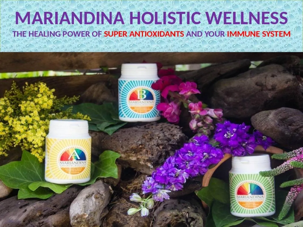 PPT-MARIANDINA HOLISTIC WELLNESS