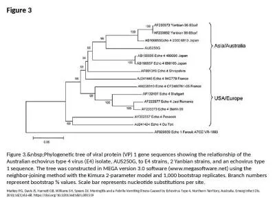 Figure 3 Figure 3.&nbsp;Phylogenetic tree of viral protein (VP) 1 gene sequences showing the re