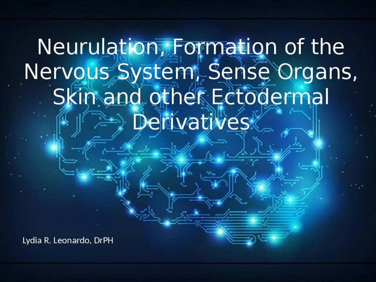 PPT-Neurulation, Formation of the Nervous System, Sense Organs, Skin and other Ectodermal