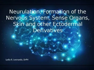 Neurulation, Formation of the Nervous System, Sense Organs, Skin and other Ectodermal