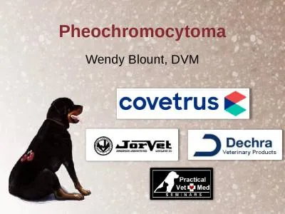 Pheochromocytoma Wendy Blount, DVM