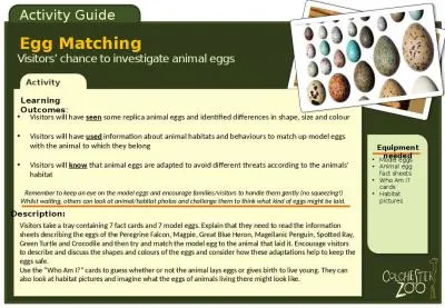 Activity Model eggs Animal egg fact sheets