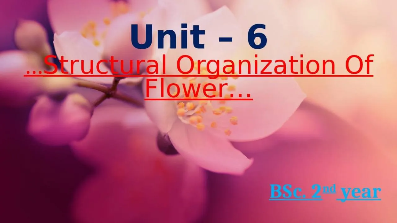 PPT-Unit – 6 … Structural Organization Of Flower…