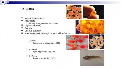 HATCHING Water Temperature