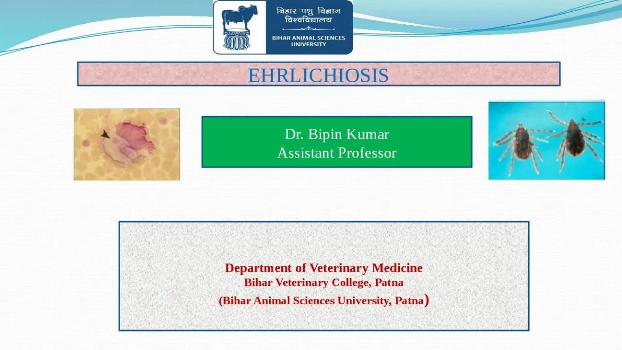 PPT-EHRLICHIOSIS Dr. Bipin Kumar