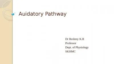 Auidatory Pathway Dr   Reshmy