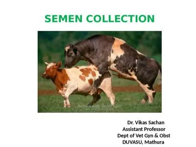 SEMEN COLLECTION