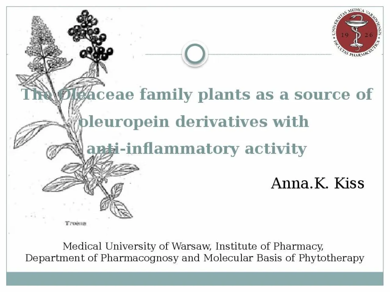 PPT-Anna.K . Kiss The Oleaceae