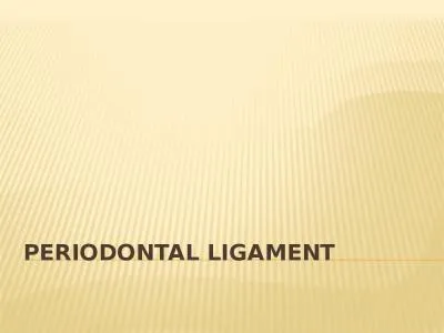 Periodontal Ligament Periodontal ligament (PDL)