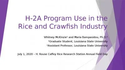 H-2A Program Use in the Rice and Crawfish Industry