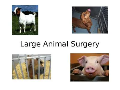 Large Animal Surgery All survival surgery must be performed using aseptic techniques (Animal