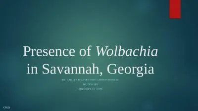 Presence of  Wolbachia  in Savannah, Georgia