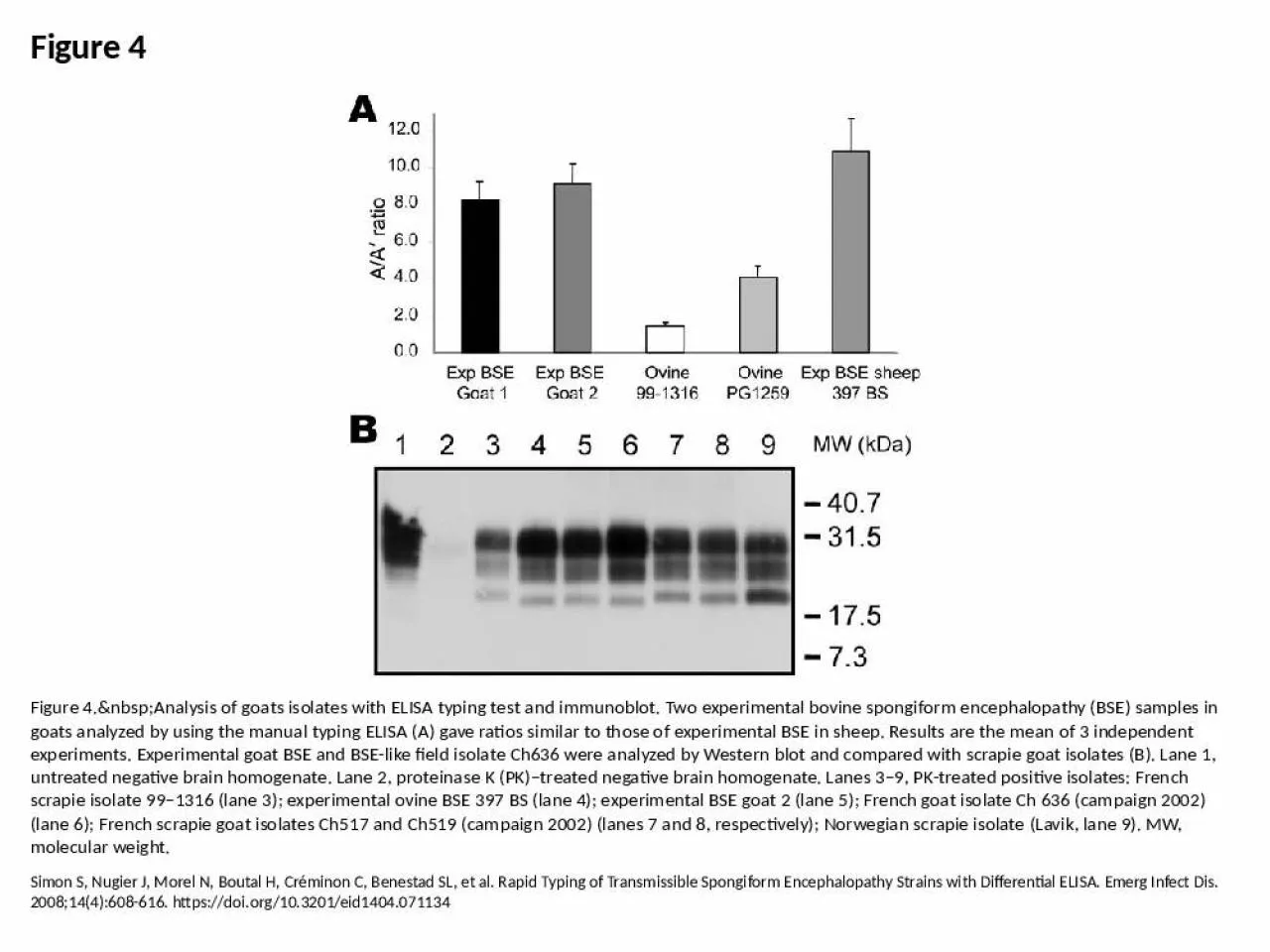 PPT-Figure 4 Figure 4.&nbsp;Analysis of goats isolates with ELISA typing test and immunoblot.