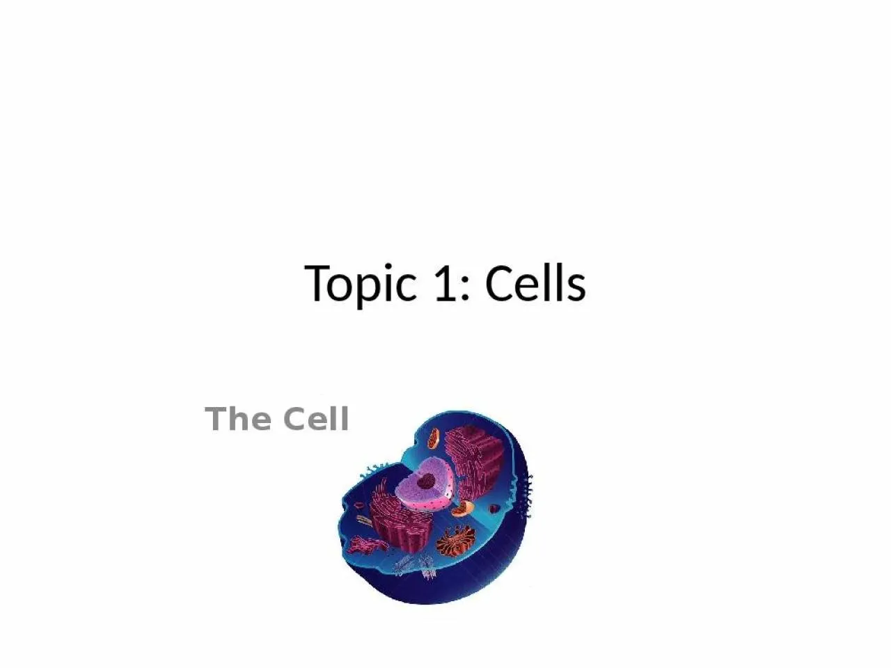 PPT-Topic 1: Cells The Cell 1.1 Cell Theory