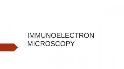 IMMUNOEL E CTRON MICROSCOPY