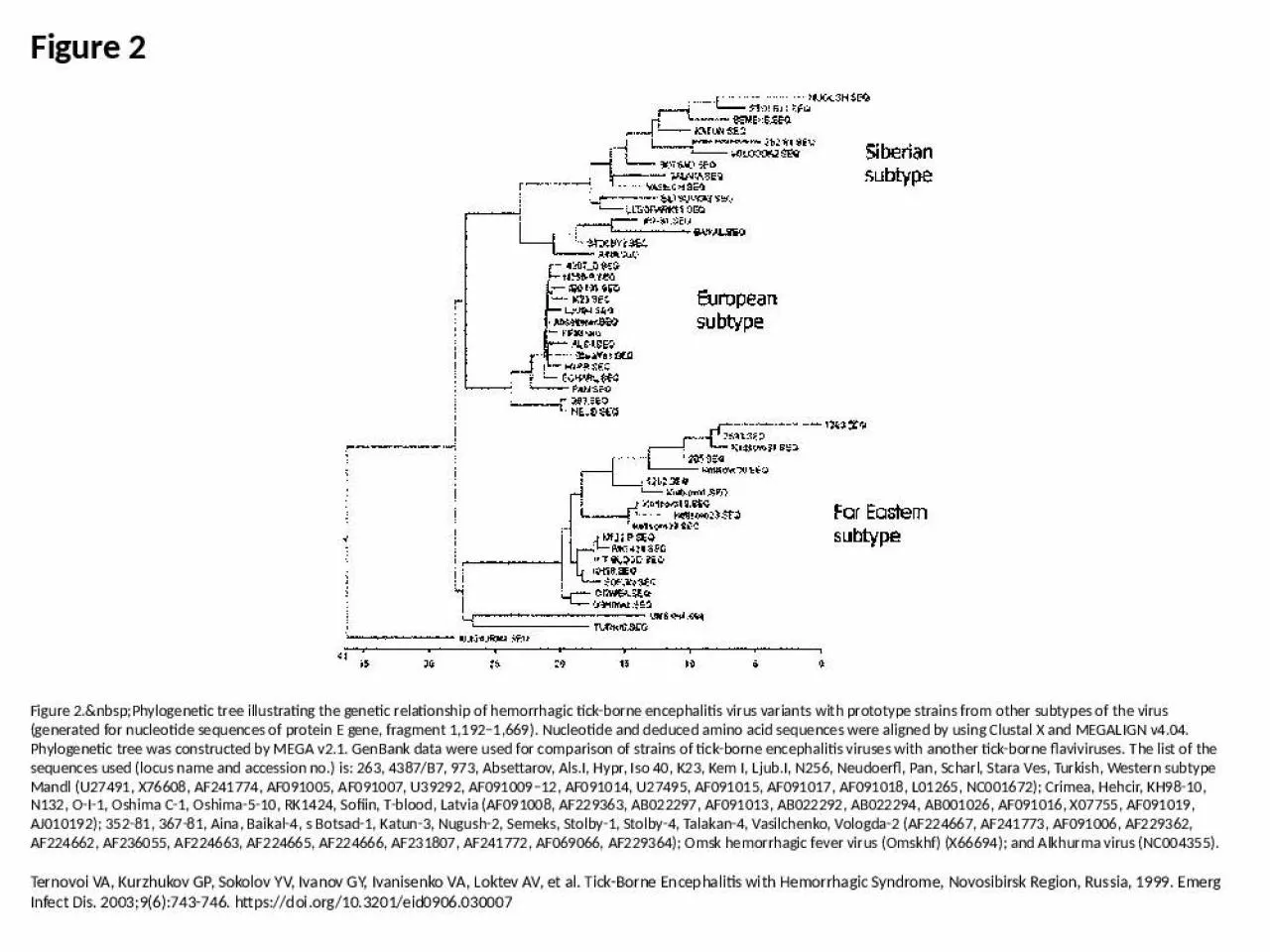 PPT-Figure 2 Figure 2.&nbsp;Phylogenetic tree illustrating the genetic relationship of