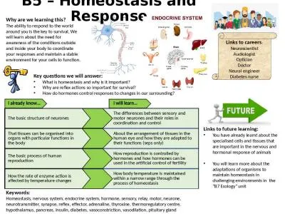 B5 – Homeostasis and Response