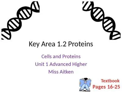 Key Area 1.2 Proteins Cells and Proteins