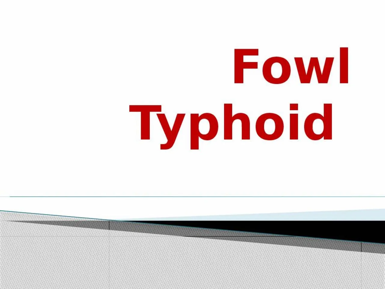 PPT-Fowl Typhoid Fowl Typhoid is a