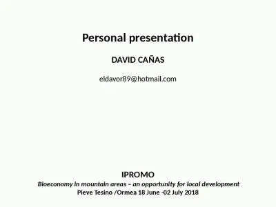 Personal  presentation DAVID CAÑAS