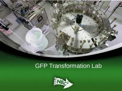 GFP Transformation Lab Images taken without permission from