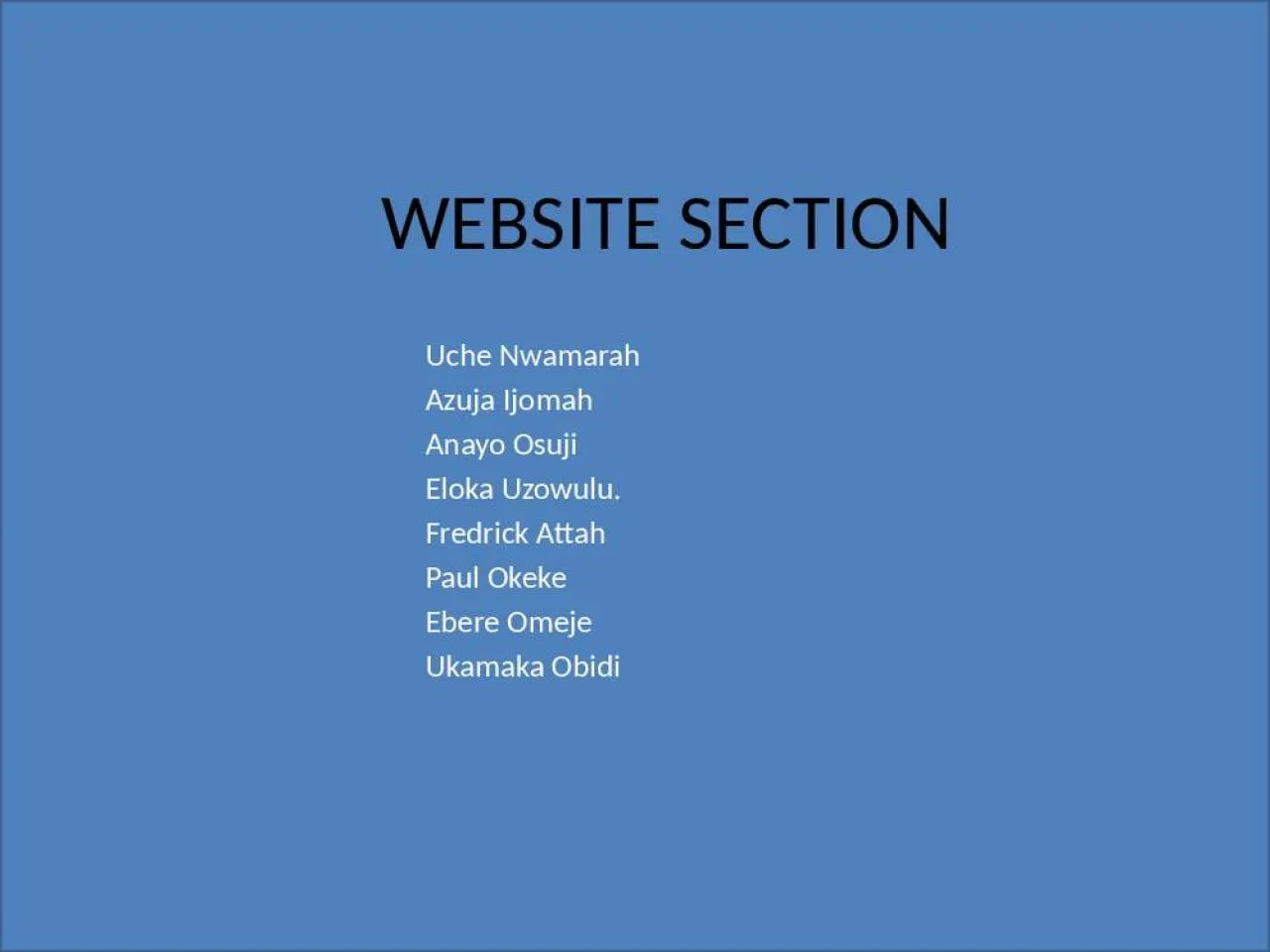 PPT-WEBSITE SECTION Uche Nwamarah