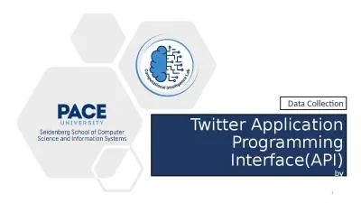 Twitter Application Programming Interface(API)