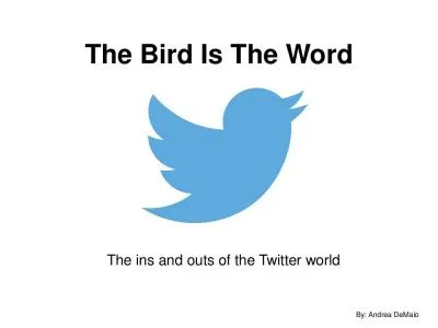 The Bird Is The Word The ins and outs of the Twitter world