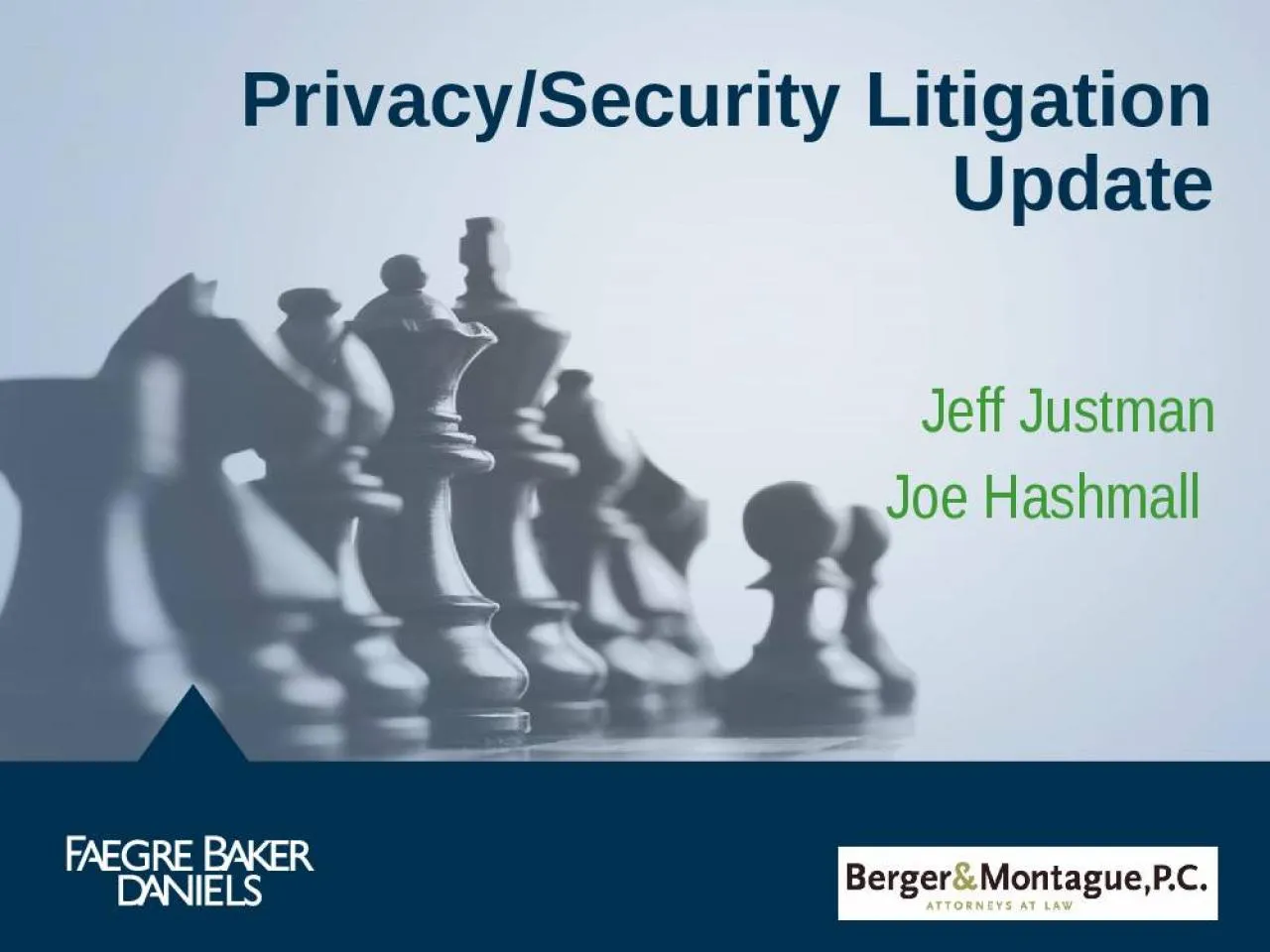 PPT-Privacy/Security Litigation Update