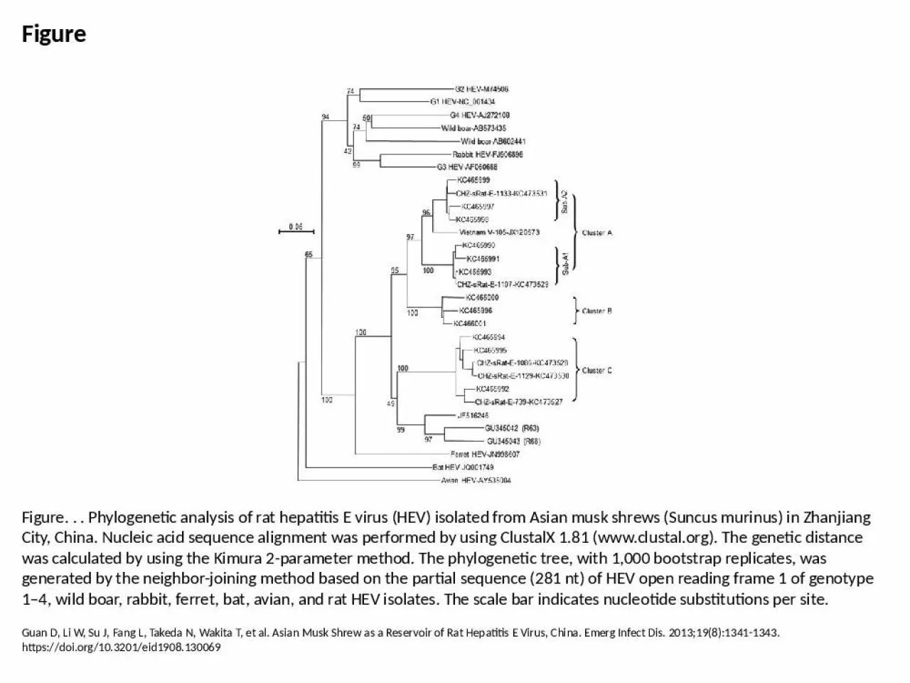 PPT-Figure Figure. . . Phylogenetic analysis of rat hepatitis E virus (HEV) isolated from