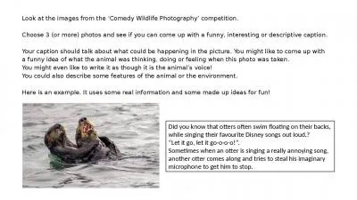 Look at the images from the ‘Comedy Wildlife Photography’ competition.