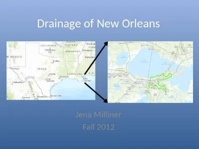 Drainage of New Orleans Jena Milliner