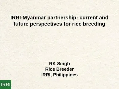 IRRI-Myanmar partnership: current and future perspectives for rice breeding