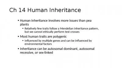 Ch  14 Human Inheritance