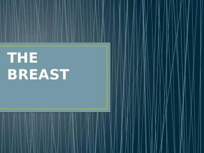 THE BREAST SURGICAL  ANATOMY