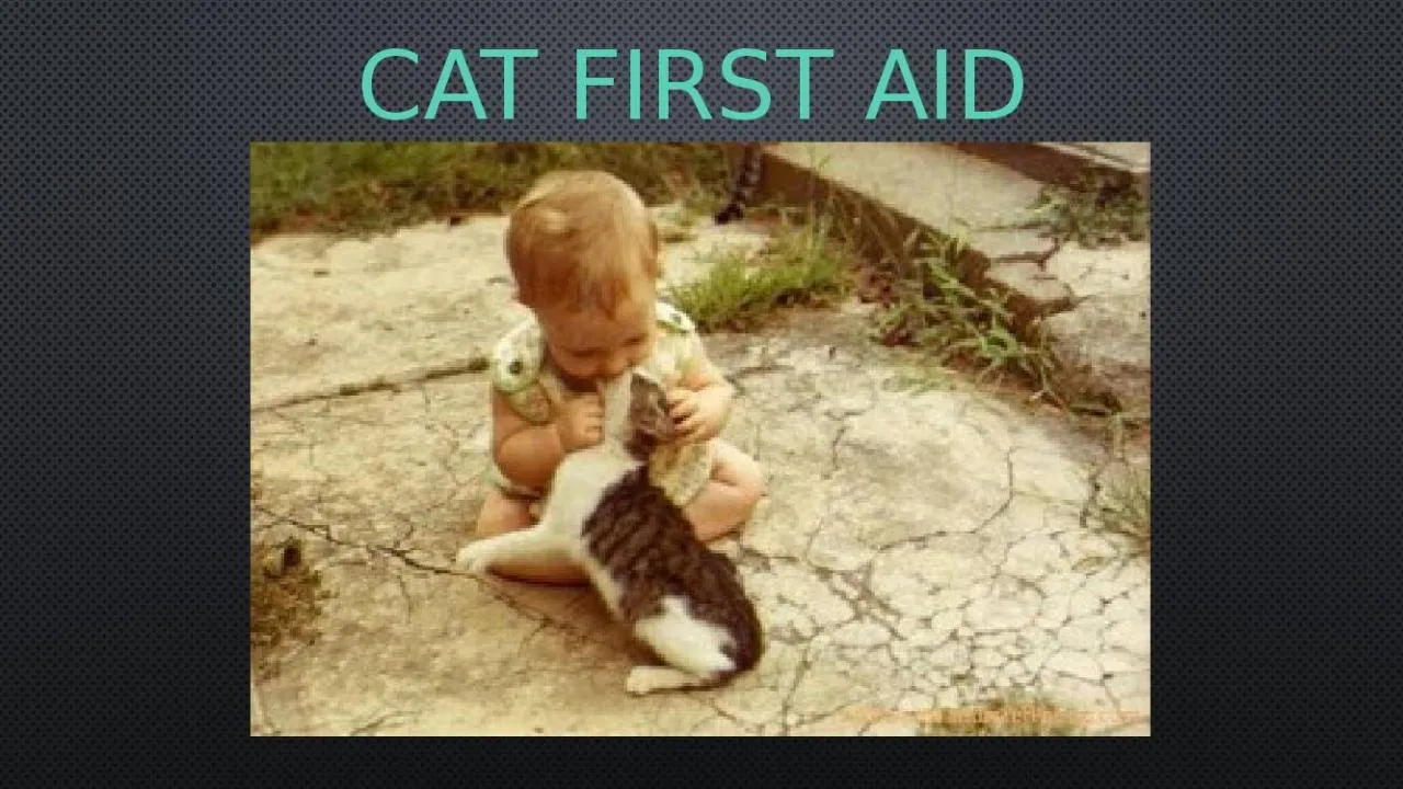 PPT-Cat first aid Susie weis