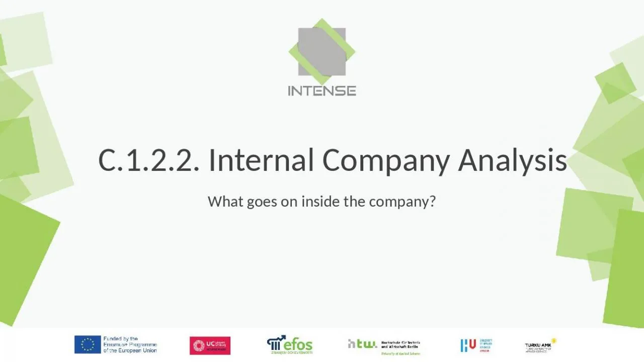 PPT-C.1.2.2. Internal Company Analysis