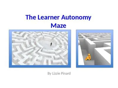 The Learner Autonomy Maze