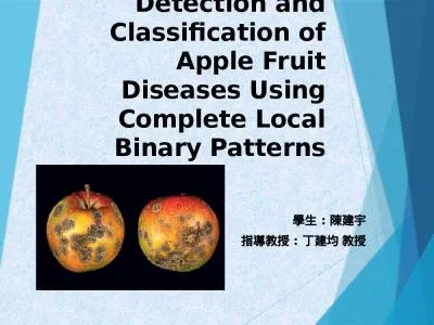 Detection and Classification of Apple Fruit Diseases Using Complete Local Binary Patterns