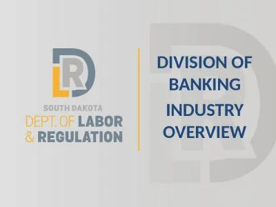 Division of Banking Industry Overview