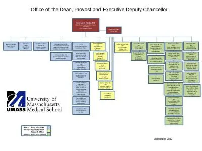 Terence R. Flotte, MD Dean, Provost and Executive Deputy Chancellor