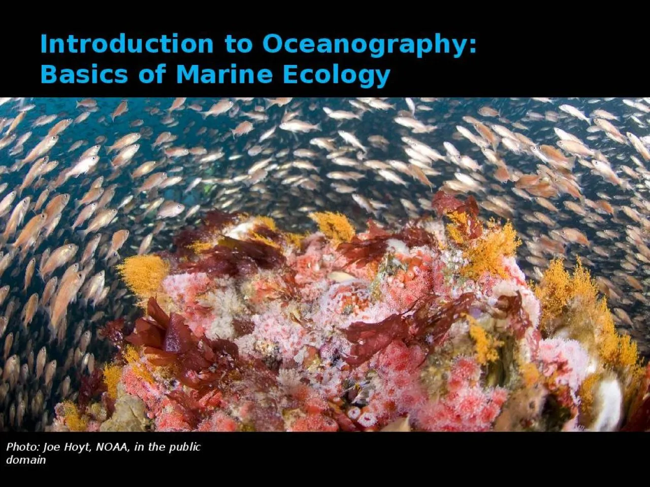 PPT-Photo: Joe Hoyt, NOAA, in the public domain