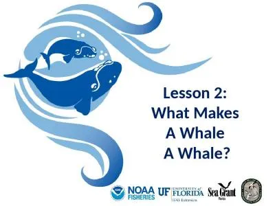 Lesson 2:  What Makes  A Whale